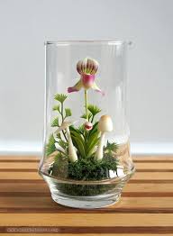 Pin Von Debra Jones Peart Auf Garden Pflanzen Orchideen Blumen