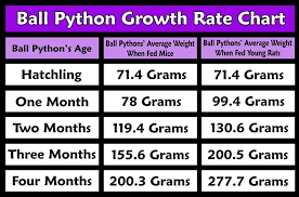 Ball Python Morph Chart Breeding Google Search Reptiles