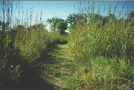 Tallgrass preserve lodging retreats events weddings. Datei Tallgrass Prairie Trail Jpg Wikipedia