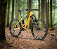 Image result for Orbea