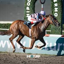 Viva al Sur dominó el domingo La defensora del Pampas se impuso en el  Handicap Rafale, la central del domingo en el Hipódromo de Palermo. Adrián  Giannetti y Gustavo Scarpello, los profesionales