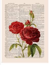 Bogo Sale French Red Roses Printed As Dictionary Art Por Bmarinacci In 2020 Flower Art Book Art Newspaper Art