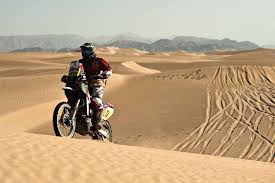 José Manuel Pellicer, el zorro del desierto acaba el Dakar 2012