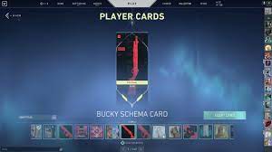 Now, the third valorant lore cinematic has launched, dubbed duality. Valorant Secret Duality Player Card Youtube