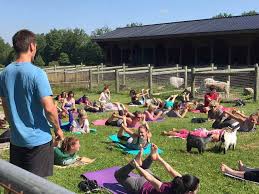 Friday, jul 30, 2021 from 9:00am to 9:00pm. Goat Yoga Water And Rock Studio