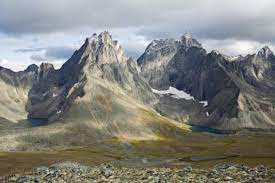 Check spelling or type a new query. Tombstone Territorial Park Government Of Yukon