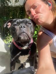 Angela Dolan (@angeladolan6) • Instagram photos and videos