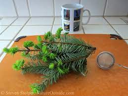 Maybe you would like to learn more about one of these? How To Make Douglas Fir Tea Natureoutside