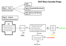 Image result for JumpSTART Triage