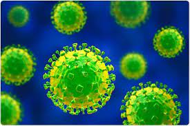 Throughout the history of the world humans have been plagued by diseases of various types and origins. Nipah Virus Infection Signs And Symptoms