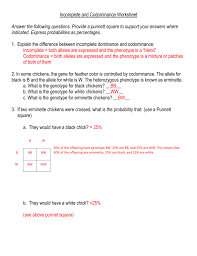 This genetics biology homework page is perfect for helping students who practice punnett square problems that involve incomplete dominance. Incomplete And Codominance