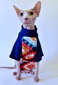 Hairlessness in cats is a naturally occurring genetic mutation; Shirts Tagged Sphynx Cat Clothes Hairless Hipsters