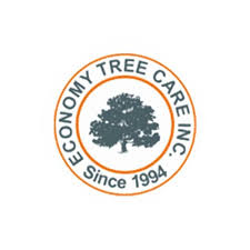 Northern virginia tree experts, inc. 17 Best Fairfax Va Tree Service Professionals Expertise