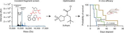 Free delivery and returns on ebay plus items for plus members. Sulfopin Is A Covalent Inhibitor Of Pin1 That Blocks Myc Driven Tumors In Vivo Nature Chemical Biology