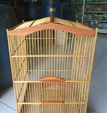 Burung dengan dada putih seperti gambar burung kacer diatas itu mempunyai karakter yang juga dianggap cocok untuk memaster atau melatih kicauan dari jenis burung yang lainnay. Persiapan Sangkar Burung Kicau Beserta Kelengkapannya
