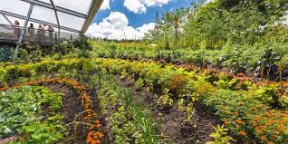 Maybe you would like to learn more about one of these? Sense Of Taste Garden In Outdoor Gardens Eden Project Cornwall