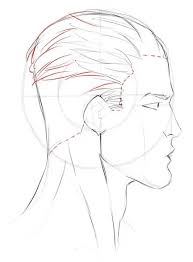 How To Draw Face Profile Man Profile Drawing Face Profile Drawing Male Face Drawing Human anatomy fundamentals basic body proportions. profile drawing face profile drawing