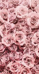 Check spelling or type a new query. Wallpaper Iphone Pink Flowers Wallpaper Flower Phone Wallpaper Rose Gold Aesthetic