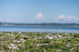 Well maintained camping and day use park on birch bay. Birch Bay State Park Mapio Net