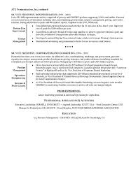 retail executive resume example