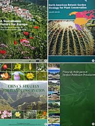 2.ex situ conservation involves placing of threatened animals and plants in special care units for. Scielo Brasil An Overview Of Recent Progress In The Implementation Of The Global Strategy For Plant Conservation A Global Perspective An Overview Of Recent Progress In The Implementation Of