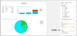 Excel Power View Pie Chart Visualization Tutorialspoint