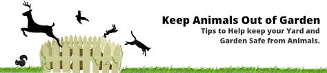 Solar power animal repeller ultrasonic outdoor mouse mole pest rodent repellen. Is Eliminator Advanced Electronic Solar Energy Outdoor Animal Repeller Good Keep Animals Out Of Garden