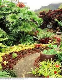 Inspiration for a tropical backyard landscaping in sydney with decking. 95 Hawaiian Gardens Ideas Tropical Garden Tropical Landscaping Tropical Garden Design