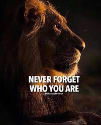 Never Forget Who You Are Lion Quotes Warrior Quotes Animal Quotes