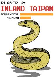 Check spelling or type a new query. I Ve Always Wondered Who Would Win In A Fight Between The Black Mamba And The Inland Taipan