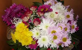 Known for purity, white flower blooms are sure to make your space more tranquil. Pink White Yellow Purple And Red Daisy Mums And Rose Flower Bouquet Hd Wallpaper Wallpaper Flare