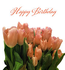 Di solito molto dipende dalla persona a cui è stato fatto il regalo. Compleanno Di Auguri Tulipano Immagine Gratis Public Domain Pictures