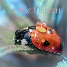 Mein Augenblick by Doris Prenger