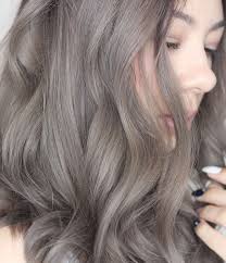 Ash Gray Hair Brown Hair Colors Hair Color Hair Styles