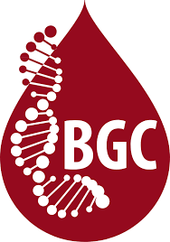 Implementing programs focused on academic success, character & leadership. Bgc