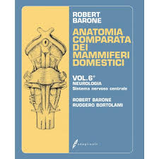 Check spelling or type a new query. Barone Anatomia Comparata Dei Mammiferi Domestici 6 Neurologia Sistema Nervoso Centrale