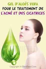 Gel D Aloes Vera Pour Le Traitement De L Acne Et Des Cicatrices Acne Traitement Acne Cicatrice