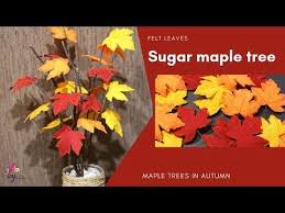 Cara Membuat Daun Maple Dari Kain Flanel How To Make Sugar Maple Felt Leaves Youtube Felt Flowers Felt Crafts Diy Felt Decorations