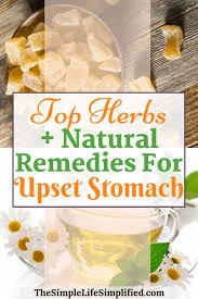 3 Quick Relief Home Remedies For Upset Stomach The Simple Life Simplified Stomach Remedies Herbs For Health Herbal Teas Recipes