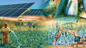 In 2020, it's estimated women over 25 will account for 37% of all new infections. Cooperation And Investment In Mining Agriculture Fisheries Energy Tourism How India And Namibia Can Work Together Diplomatist