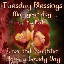 Have a nice tuesday ! Newest For Positive Happy Tuesday Blessings Positive Tuesday Quotes Poppy Bardon Blessings Pictures