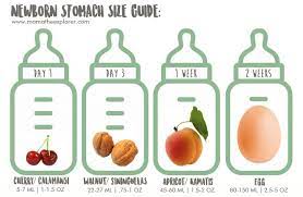Newborn Stomach Size Guide Mama The Explorer