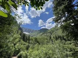 Nordic Center Meadow from Aspen Grove, Utah