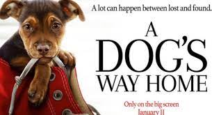 Rd.com knowledge facts there's a lot to love about halloween—halloween party games, the best halloween movies, dressing. A Dog S Way Home Movie Quiz How Well Do You Know About A Dog S Way Home Quiz Accurate Personality Test Trivia Ultimate Game Questions Answers Quizzcreator Com
