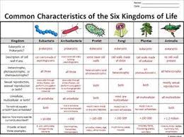 the six kingdoms of life graphic organizer editable