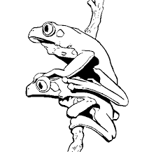Categorias de desenhos desenhosparacolorir.org última actualização: Desenho De Ras Para Colorir Colorir Com