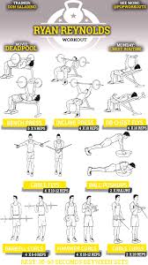 15 Memorable Gym Exercise Chart For Biceps Pdf