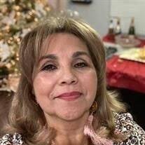 Nely Sanchez Obituary and Online Memorial (2024)