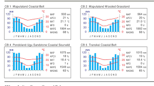 Image result for Asystasia hedbergii