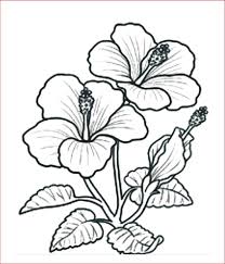 Download contoh sketsa gambar bunga simple. Contoh Gambar Bunga Yang Mudah Digambar